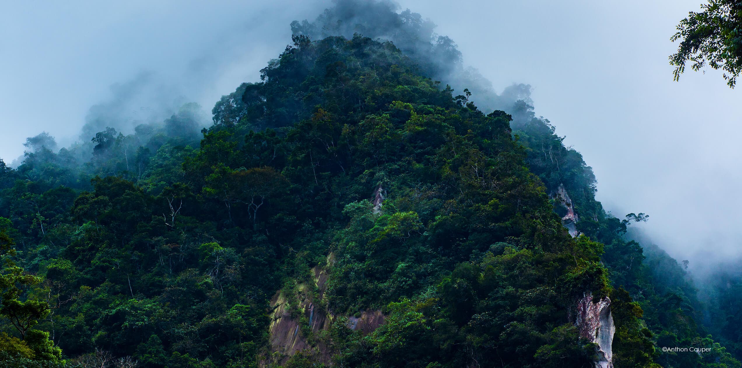 From the Amazon frame 3